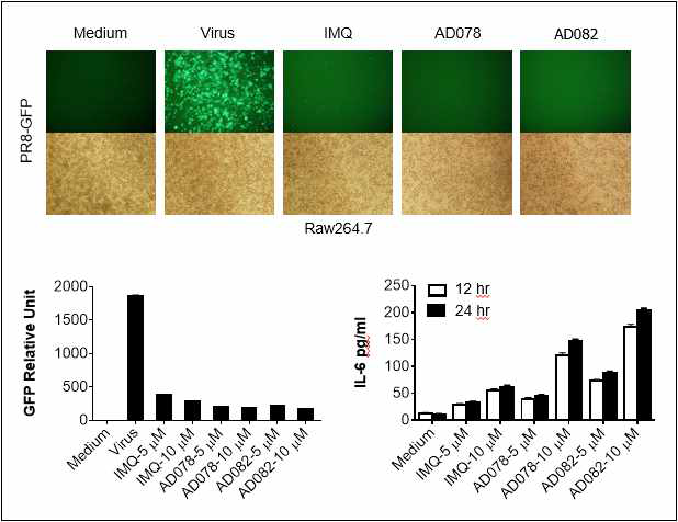AD082 화합물의 항바이러스 효능 및 IL-6 분비 유도능