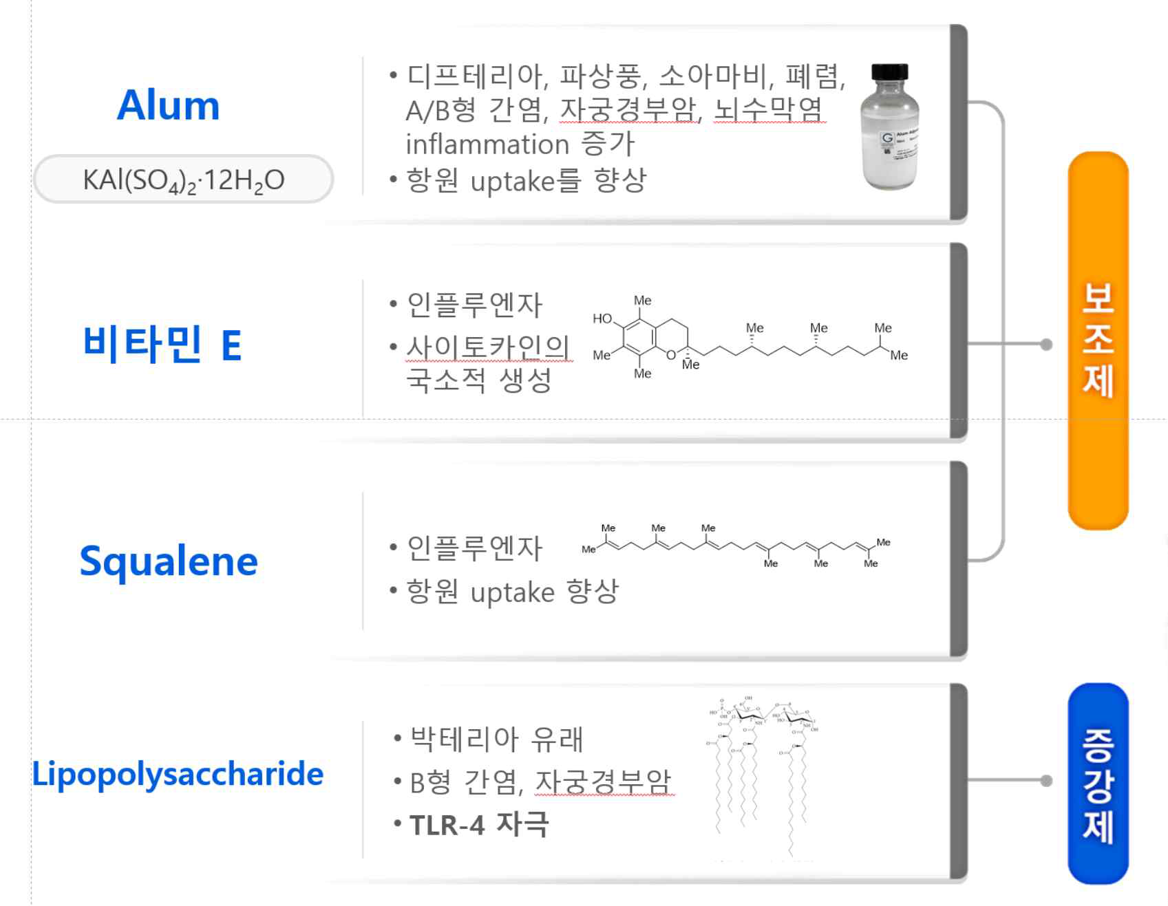 백신 어쥬번트 보조제와 증강제