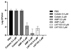 Colistin 내성균에서 LNT103의 항균 활성