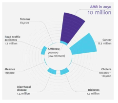 O’Neil. 영국정부 보고서. Antimicrobial Resistance: Tackling a crisis for the health and wealth of nations, December 2014