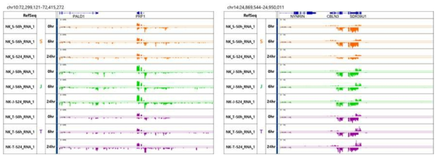 IGV browser를 통한 RNA-seq DB 시각화