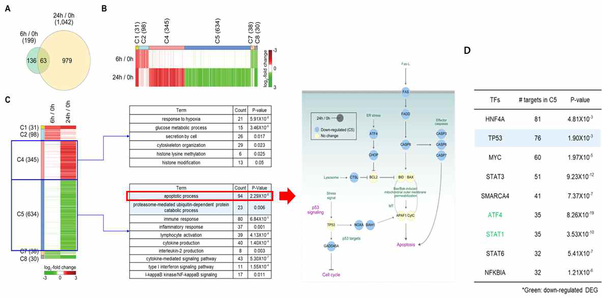 SAHA 처리와 관련된 Signaling Network Analysis 예측