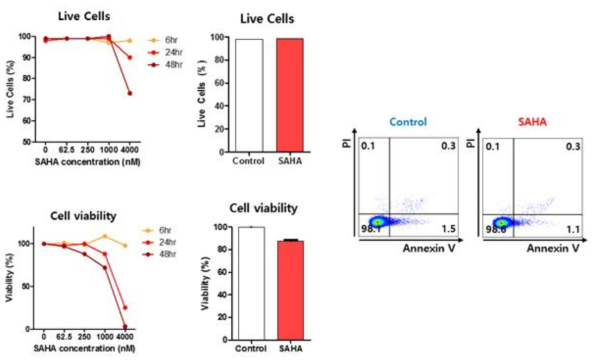 NK 세포주의 SAHA에 의한 세포독성 확인