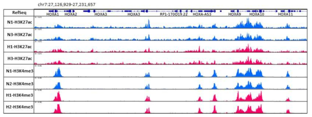 Histone ChIP-seq DB 시각화