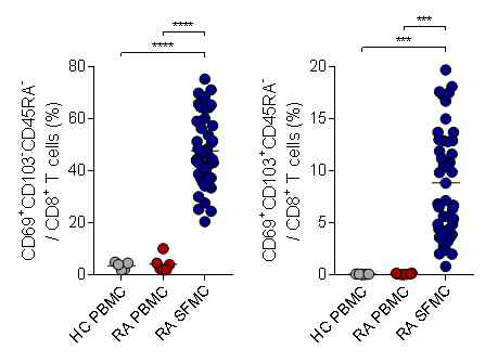 류마티스 관절염 환자의 관절액 내 CD69+CD103+/-CD45RA- T 세포의 분율 증가 HC; healthy control, RA; rheumatoid arthritis, PBMC; peripheral blood mononuclear cell, SFMC; synovial fluid mononuclear cell