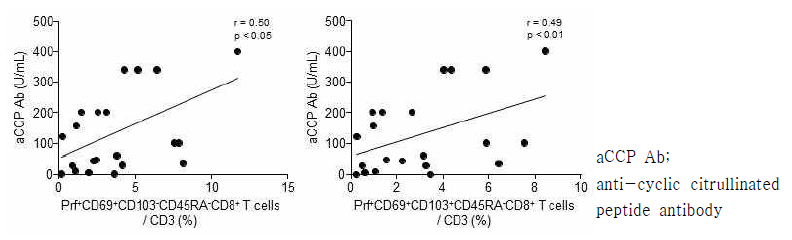 관절액 내 perforin 발현 CD69+CD103+/-CD8 T세포 분율과 APCA 농도 상관관계