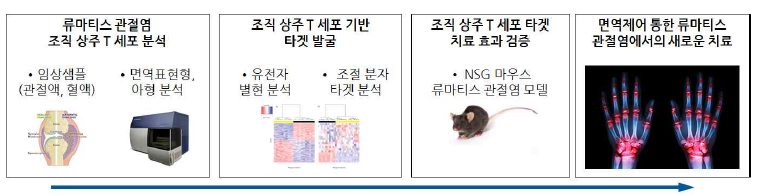 연구 개발의 모식도