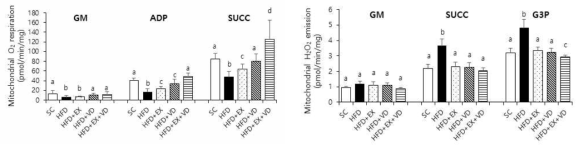 고지방+고탄수식으로 유도된 지방간염에서 운동과 비타민D 복합처치에 따른 미토콘드리아 기능 확인