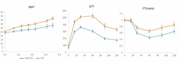 고지방식이 모델에서 Tph1 KO 마우스의 체중 변화 및 GTT, ITT 결과