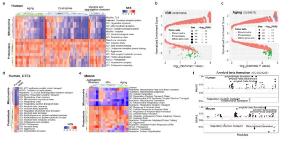 노화에 따른 근육 내 transcriptome의 변화