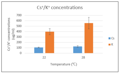 온도 및 K 농도에 따른 세슘 제염효율에 미치는 영향