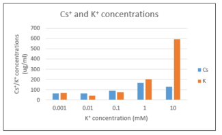 K 농도에 따른 세슘 제염효율 분석
