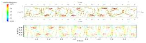 Rayleigh Benard convection 속도 벡터 (왼쪽) 해석 결과 (오른쪽) Praveen