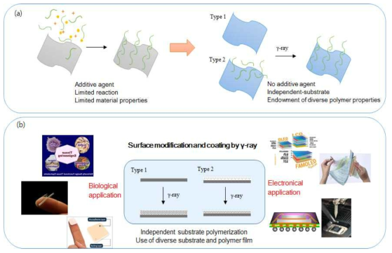 (a) 감마선 조사법에 의해 달성되는 고분자 박막의 장점, (b) 응용 가능한 분야