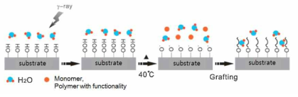 금속 및 무기재료 기판의 감마선에 의한 표면 개질