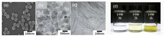 (a) Silica, (b) Gibbsite, (c) Imogolite의 다양한 형태의 무기 입자. (d) 감마선 조사에 의한 입자가 분산된 용액의 iodometry 결과