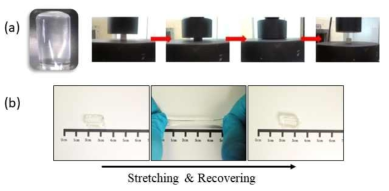 감마선 조사에 의해 개질된 표면으로 합성된 고분자 복합체: (a) silica-poly(acrylic acid) gel, (b) imogolite-poly(acrylic acid) gel