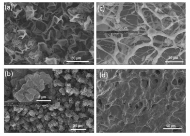 Silica-poly(acrylic acid) 하이드로겔의 반응시간에 따른 모폴로지. (a) 140 분 반응 후 분리된 상층액, (b) 140분 반응 후 분리된 침전입자, (c) 170분 반응에 의한 3차원 네트워크, (d) 3시간 반응에서 나타난 표면 구조