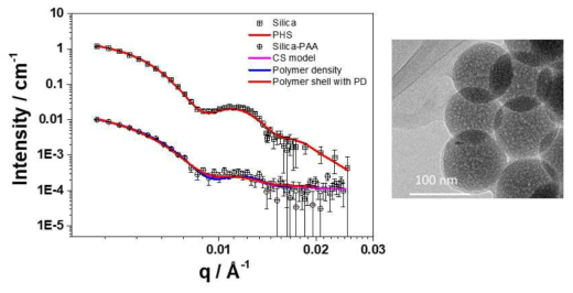 감마선을 이용한 중합과정을 적용한 silica-poly(acrylic acid) 코어쉘 입자의 중성자 소각산란 결과 및 TEM 이미지