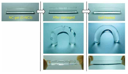 Laponite-PNIPAM 하이드로겔의 기계적 손상으로부터의 자가치유