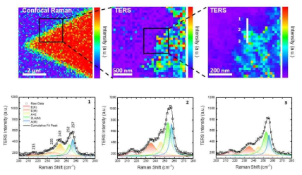 WSe2 의 Confocal Raman 이미지와 국소적 Raman 분석을 위한 STM-TERS 이미지