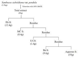 Extraction and fractionation from the stem bark of Sambucus sieboldiana var. pendula