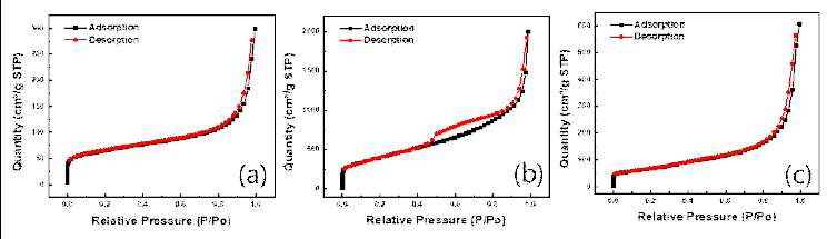 탄소소재의 질소물리흡착 특성 (a) VC, (b) KB, (c) CNT