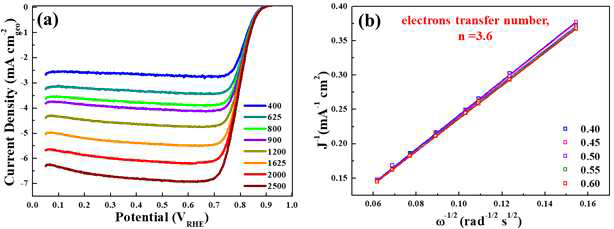 RDE 회전 속도 (rpm)에 따른 Co@G/C_600의 산소 환원 반응 polarization curves 및 Koutecky-Levich plot을 이용한 반응 참여 전자수 (n) 계산 결과