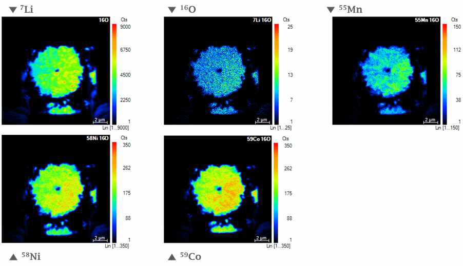 양극활물질(MTSC)에 대한 Nano-SIMS 이미징 분석 결과