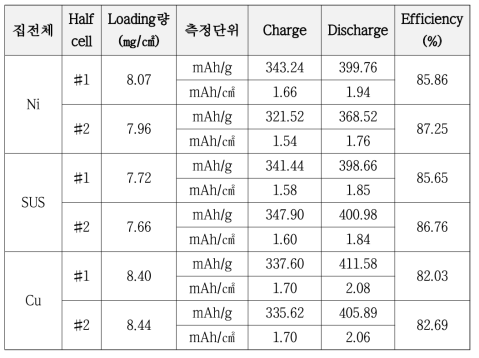 초기 용량 및 효율 측정 결과