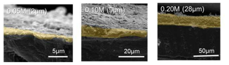 리튬-아연 합금에 대한 단면 SEM 사진. 왼쪽부터 0.05M, 0.10M, 0.20M 코팅 전해액에 대한 전극