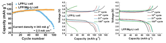 Li와 Mg-Li의 LFP 셀 특성 평가 (수명 특성, 전압 vs. 용량 특성)