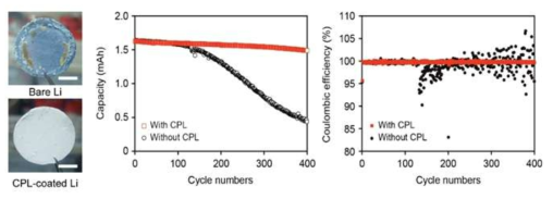 보호막 유무에 따른 사이클 구동 후 리튬 금속 음극의 사진(좌) 및 LiCoO2/Li cell 셀 사이클 수명 특성 및 쿨롱 효율 변화(우)