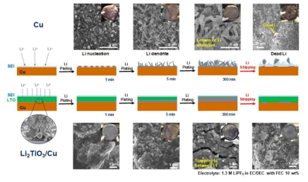 주사전자현미경을 통한 보호층 유무에 따른 리튬 성장 거동 모식도와 SEM 이미지. (위: 구리 집전체, 아래: 보호층이 코팅된 구리 집전체, 실험조건: 1 mA/cm2/ 5 mAh/cm2)