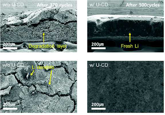 U-CD 카본 나노닷 첨가제 유무에 따른 사이클 이후 리튬 형상 비교 SEM 이미지 (오른쪽이 첨가제 존재)