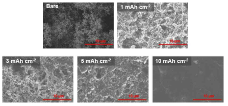 리튬 전착량에 따른 구조체의 SEM 이미지