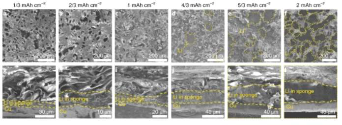리튬 전착량에 따른 3차원 고분자 구조체의 형상 SEM 이미지