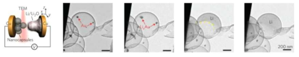 실시간 관찰을 통한 탄소-금 구조체 내 리튬 금속 성장 거동 TEM 이미지