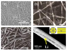 1차원 구조체를 이용한 연구들. (a) CNT 필름, (b) PI+Li 복합체, (c) C+Li 복합체, (d) 다공성 1차원 카본