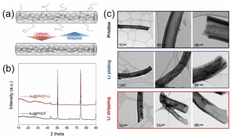 (a) Au@PHCF 구조체에서 Au에 의해 리튬이 구조체 내부로 전/탈착되는 개략도, (b) 0.5mA/cm2, 0.5mAh/cm2으로 리튬 전착 후 Au@PHCF의 XRD 분석, (c) Au@PHCF에 0.5mA/cm2, 1mAh/cm2으로 리튬 전/탈착 후의 TEM 이미지
