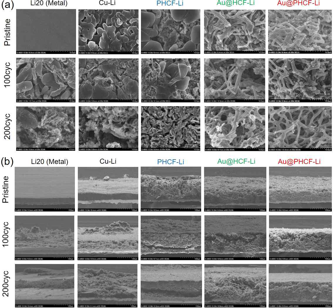 리튬 LFP 풀셀 테스트 사이클별 (a) 표면, (b) 단면 SEM