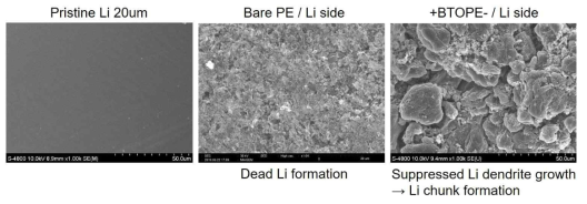 Pristine 20 um Li foil과 LFP 풀셀 100 사이클 이후의 Bare PE와 +BTOPE- 분리막을 사용한 리튬의 SEM 이미지
