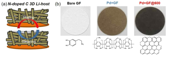 (a) 폴리도파민에서 유래한 질소가 도핑된 카본이 코팅된 GF 구조체의 리튬 전/탈착거동 예상도, (b) Bare GF, 폴리도파민이 코팅된 GF, 600 ℃ 열처리한 GF의 디지털 이미지