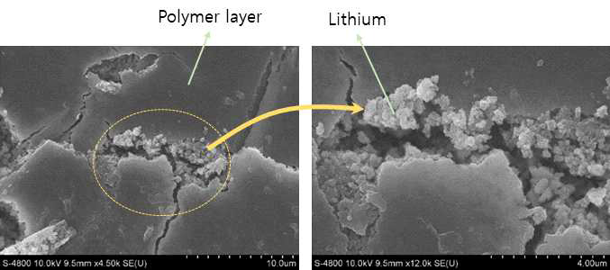 Li deposition이후 코팅층 표면 형상 (SEM)