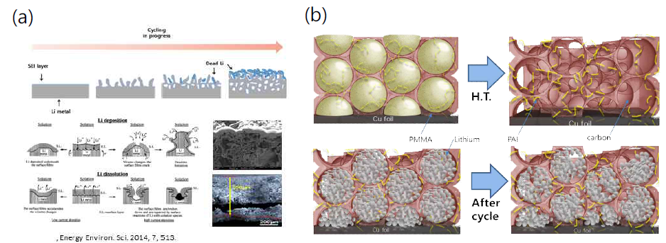 (a) 2차원 리튬금속에서의 리튬 성장 거동, (b) 탄소 기반 3차원 구조체 설계