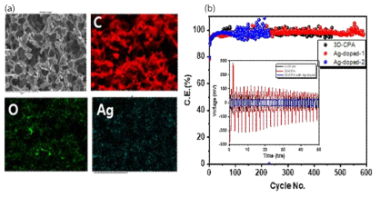 (a) Ag가 도핑된 3D-CPA의 SEM 및 EDS mapping (b) half cell/symmetry cell에서의 사이클 수명