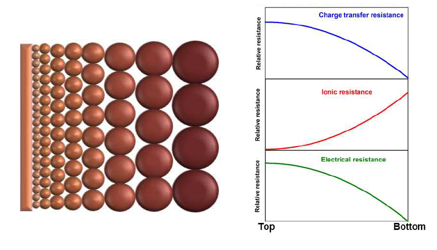 기공 구배 구조체 모식도 및 구조체 내부에서의 전하 전달 저항, 이온 저항, 전자 저항 거동
