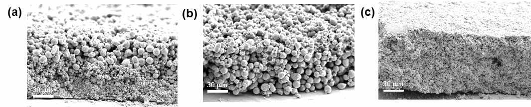 제작된 구조체들의 단면 scanning electron microscope (SEM) 이미지. (a) PGF, (b) SPF-L, (c) SPF-S