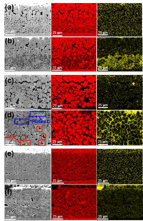 구조체별 단면 SEM 및 Cu, O EDS 분석 이미지. (a-b) PGF의 리튬 전착 (a) 전, (b) 후 이미지. (c-d) SPF-L의 리튬 전착 (c) 전, (d) 후 이미지. (e-f) SPF-S의 리튬 전착 (e) 전, (f) 후 이미지