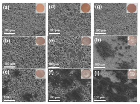 (a-c) PGF, (d-f) SPF-L, (g-i) SPF-S의 리튬 전착 전, 후 표면 이미지. (a, d, g) 리튬 전착 전, (b, e, h) 0.5 mA h cm-2 전착, (c, f, i) 1 mAh/cm2 전착